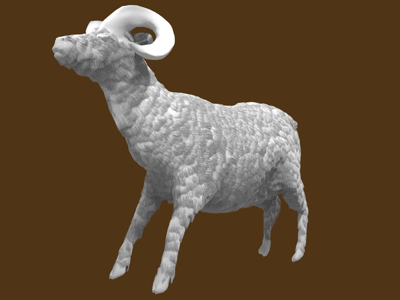 Ram Sheep preview image 1
